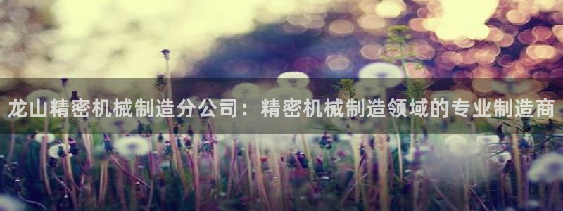 有谁知道彩神争霸的网址：龙山精密机械制造分公司：精密机械制造领域的专业制造商