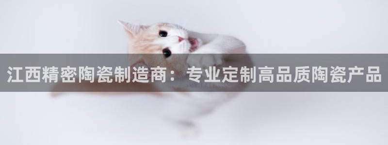 彩神V集团公司：江西精密陶瓷制造商：专业定制高品质陶瓷产品