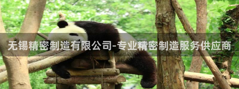 彩神velcome购彩大厅：无锡精密制造有限公司-专业精密制造服务供应商
