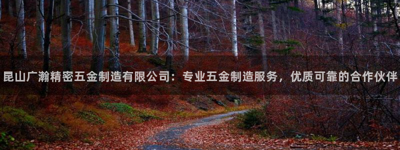 彩神是怎样一个平台赚钱的：昆山广瀚精密五金制造有限公司：专业五金制造服务，优质可靠的合作伙伴