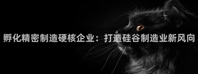 彩神大发如何观察走势：孵化精密制造硬核企业：打造硅谷制造业新风向