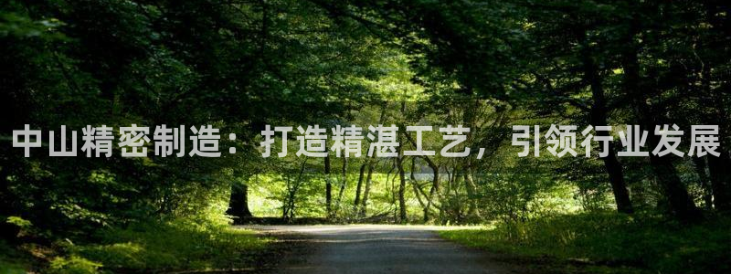 彩神是什么平台