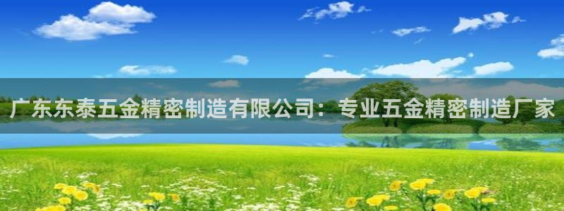 彩神大发黑平台