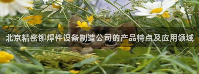 彩神viii官网：北京精密铆焊件设备制造公司的产品特点及应用领域