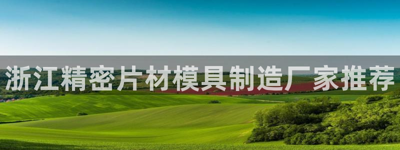 彩神vll首页企业文化：浙江精密片材模具制造厂家推荐