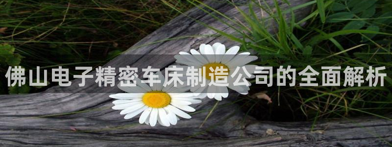 彩神v1官网