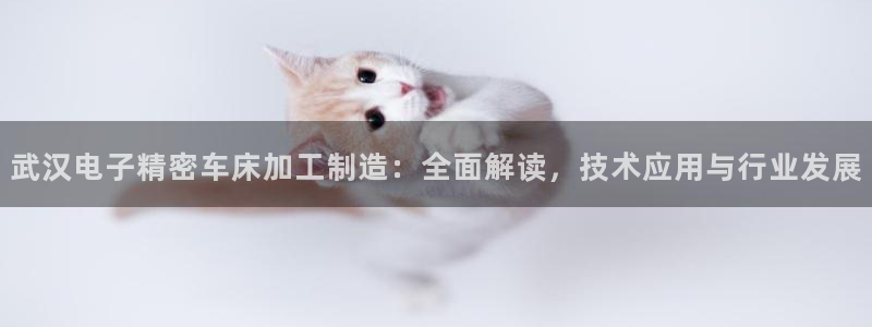 彩神v8购彩大厅登：武汉电子精密车床加工制造：全面解读，技术应用与行业发展
