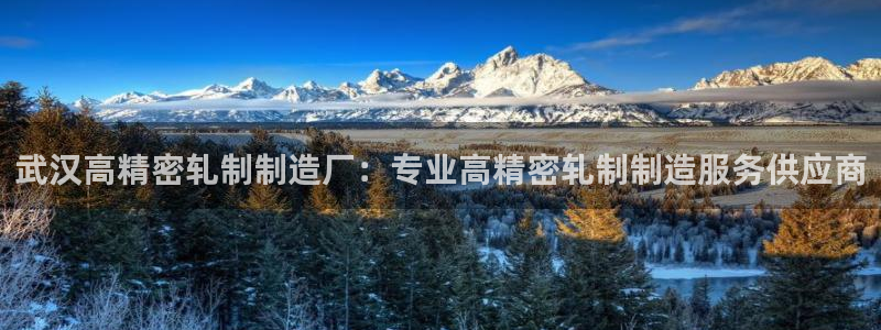 彩神V集团有限公司：武汉高精密轧制制造厂：专业高精密轧制制造服务供应商