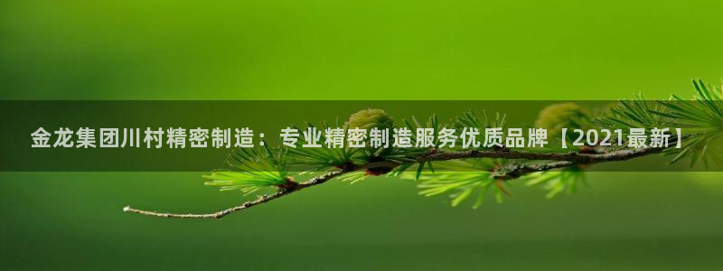彩神v8几个版本：金龙集团川村精密制造：专业精密制造服务优质品牌【2021最新】