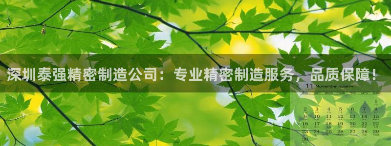 新版彩神v8登录不了：深圳泰强精密制造公司：专业精密制造服务，品质保障！