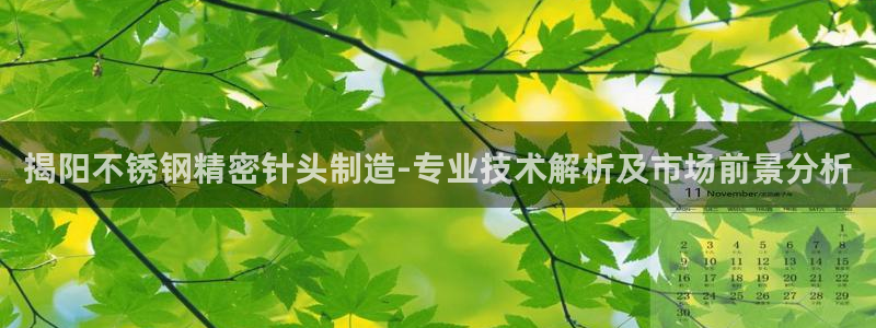 彩神通官方网：揭阳不锈钢精密针头制造-专业技术解析及市场前景分析