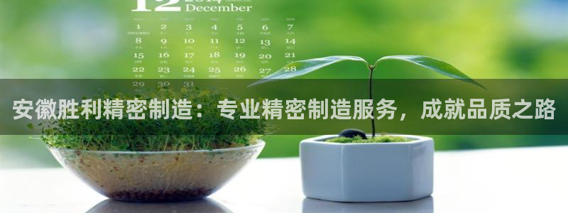 彩神8官网版是正规的吗：安徽胜利精密制造：专业精密制造服务，成就品质之路