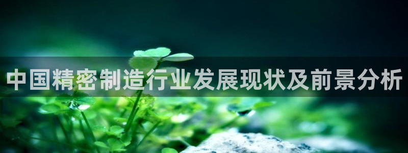 彩神viii是正规平台吗?：中国精密制造行业发展现状及前景分析