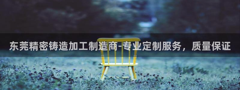 彩神系列平台：东莞精密铸造加工制造商-专业定制服务，质量保证