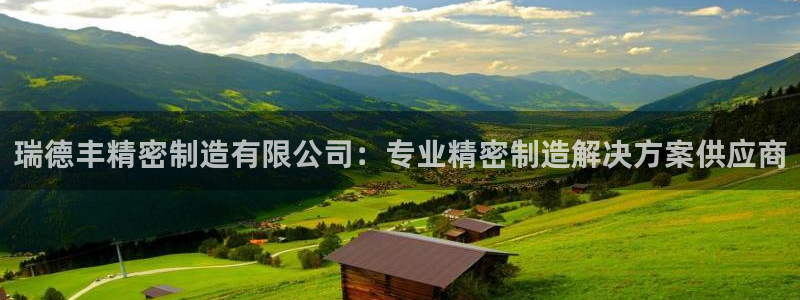 彩神8彩平台客服：瑞德丰精密制造有限公司：专业精密制造解决方案供应商