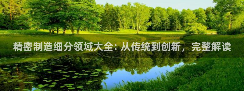 彩神v彩搜狗：精密制造细分领域大全: 从传统到创新，完整解读