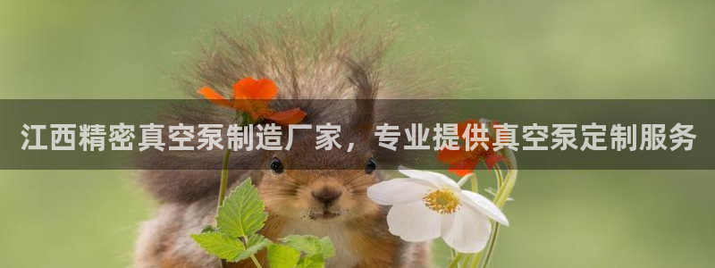 彩神vll官网-最新版app下载：江西精密真空泵制造厂家，专业提供真空泵定制服务