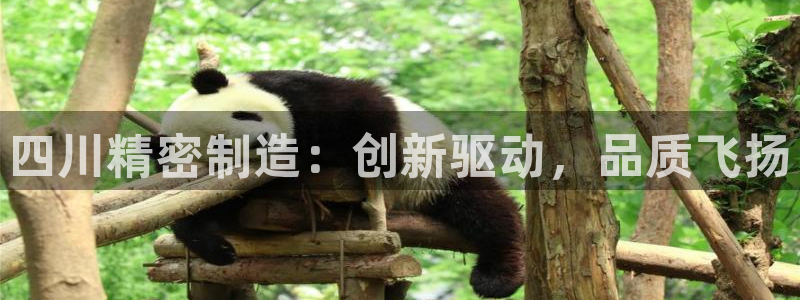 彩神怎么样可以提现