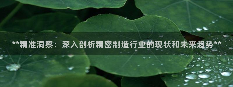 彩神这个平台是真的吗：**精准洞察：深入剖析精密制造行业的现状和未来趋势**