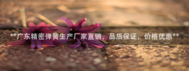 彩神vl官网：**广东精密弹簧生产厂家直销，品质保证，价格优惠**