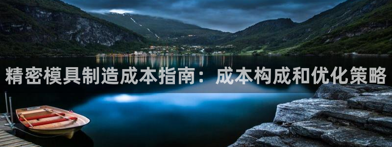 彩神v违法么：精密模具制造成本指南：成本构成和优化策略