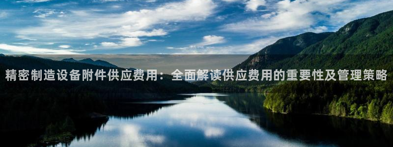 彩神8官网下：精密制造设备附件供应费用：全面解读供应费用的重要性及管理策略