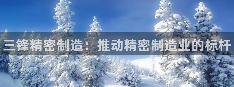 彩神是真的吗：三锋精密制造：推动精密制造业的标杆