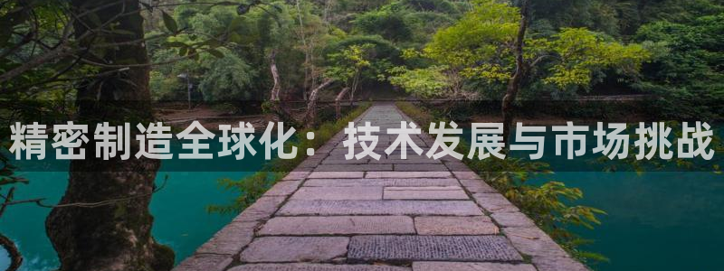 彩神v下载安装：精密制造全球化：技术发展与市场挑战