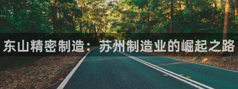 彩神v彩搜狗：东山精密制造：苏州制造业的崛起之路