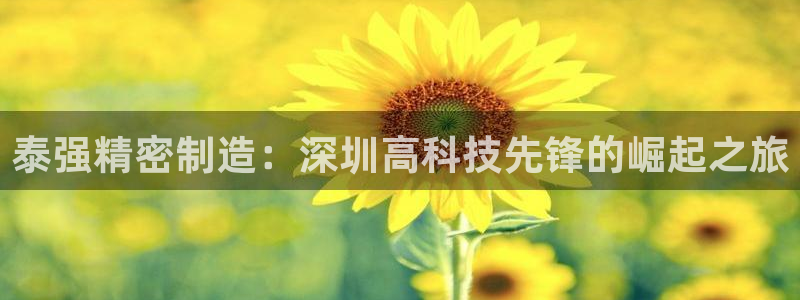 彩神通关注码金码对应码：泰强精密制造：深圳高科技先锋的崛起之旅