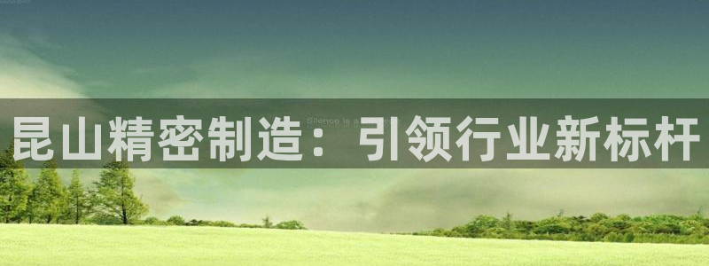 彩神合法吗.是国家认可的吗：昆山精密制造：引领行业新标杆