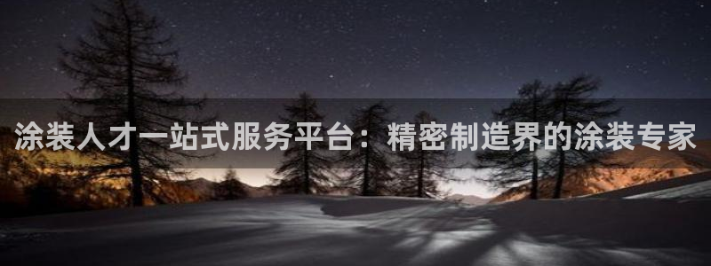 彩神vl购彩大厅：涂装人才一站式服务平台：精密制造界的涂装专家