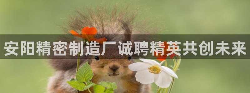 彩神v8是一个什么平台：安阳精密制造厂诚聘精英共创未来