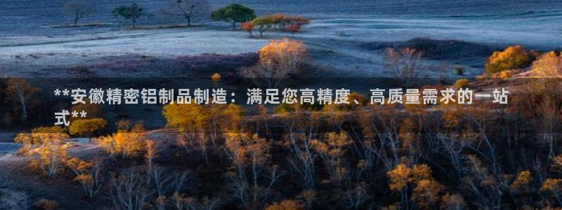 彩神vll购彩大厅：**安徽精密铝制品制造：满足您高精度、高质量需求的一站
式**