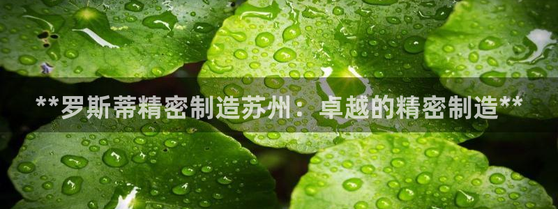 彩神v8下载：**罗斯蒂精密制造苏州：卓越的精密制造**