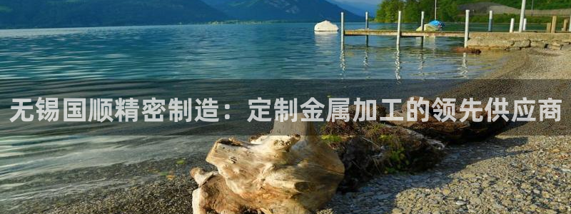 下载彩神乐发V1：无锡国顺精密制造：定制金属加工的领先供应商