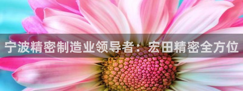 彩神v8手机客户端怎么下载：宁波精密制造业领导者：宏田精密全方位