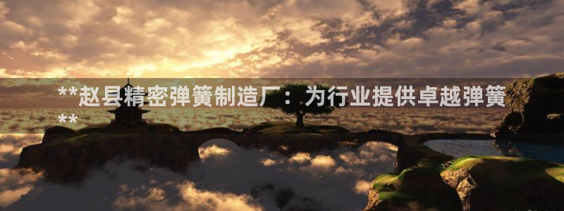 有谁知道彩神争霸的网址：**赵县精密弹簧制造厂：为行业提供卓越弹簧
**
