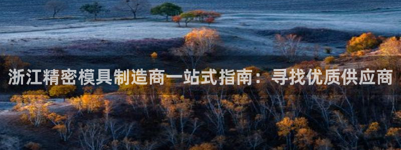 彩神vlll(中国)百度百科：浙江精密模具制造商一站式指南：寻找优质供应商
