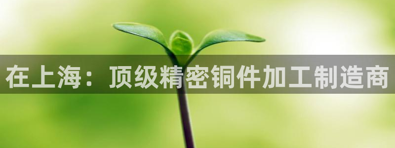 彩神iv真的能赚钱吗：在上海：顶级精密铜件加工制造商