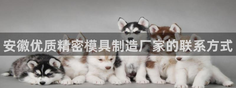 彩神ix可靠吗：安徽优质精密模具制造厂家的联系方式