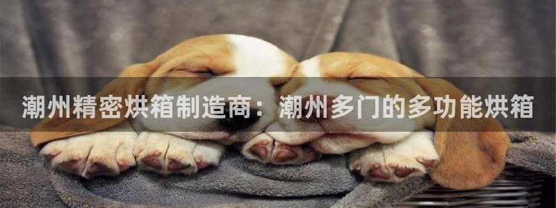 彩神v天天：潮州精密烘箱制造商：潮州多门的多功能烘箱
