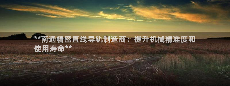所有彩神购买首页中心：**南通精密直线导轨制造商：提升机械精准度和
使用寿命**