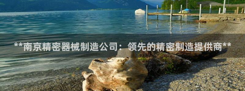 彩神vip官方网站：**南京精密器械制造公司：领先的精密制造提供商**