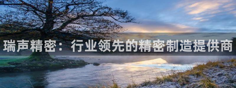 彩神v争霸有限公司：瑞声精密：行业领先的精密制造提供商