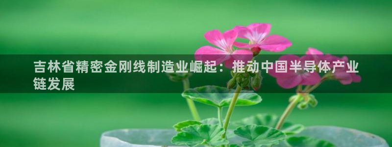 彩神8最新版下载：吉林省精密金刚线制造业崛起：推动中国半导体产业
链发展