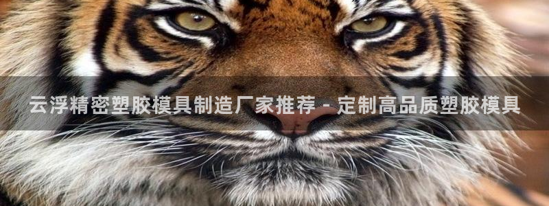 彩神vⅲ下载安装：云浮精密塑胶模具制造厂家推荐 - 定制高品质塑胶模具