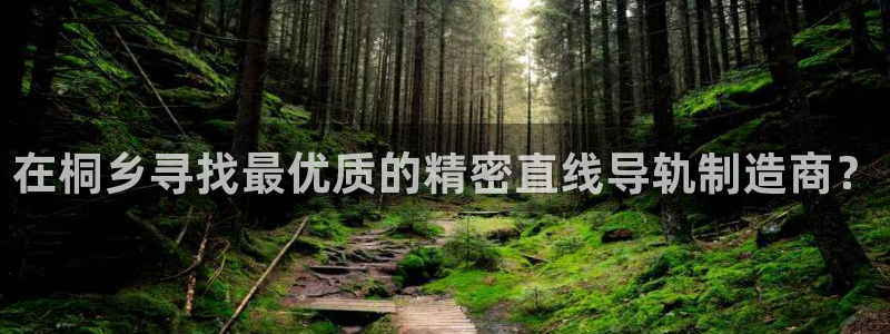 彩神邀请码:00-00-3267：在桐乡寻找最优质的精密直线导轨制造商？