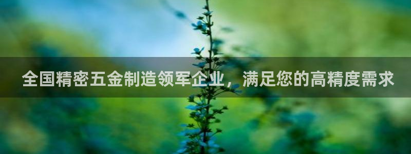 彩神vii手游下载： 全国精密五金制造领军企业，满足您的高精度需求