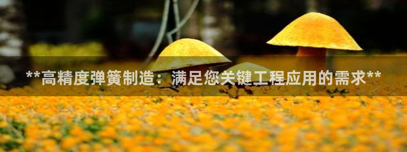 彩神这个平台是真的吗：**高精度弹簧制造：满足您关键工程应用的需求**